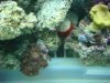 2009-05-22_0698.jpg