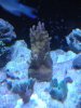 my pics 086.jpg