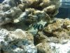 IMG00133-20090530-2045.jpg