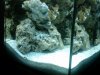 IMG00132-20090530-2045.jpg