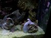 100_1036.jpg
