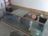 260g tank.jpg