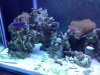 DSC00054.JPG