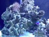DSC00055.JPG