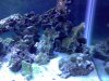 DSC00058.JPG