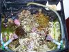 100_1070.JPG