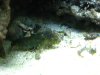 IMG_0171.JPG
