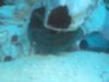 DSCF9636.jpg