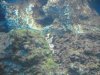 DSCF9650.jpg