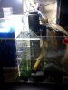 sump.jpg