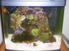 Biocube-1.jpg