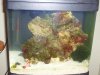 biocube-2.jpg