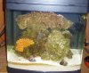 biocube-3.jpg