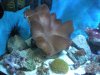 DSCN0620.JPG