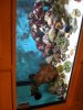 DSCN0637.JPG
