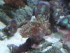 DSCN0622.JPG