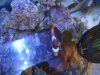 DSC02255.jpg