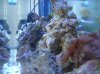DSC02302.jpg