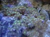 DSC02306.jpg