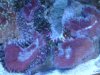 DSC02309.jpg