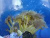 DSC02310.jpg