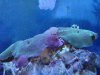 DSC02311.jpg
