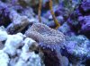 DSC02312.jpg