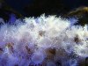 2009_061108729timelapse0004.JPG