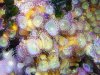 2009_061108729timelapse0007.JPG
