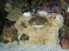 addedpics002.jpg