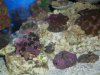 addedpics003.jpg