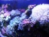 2009_031808729timelapse0001.JPG