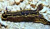 DSCN0252a.jpg