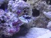 DSC00879.jpg
