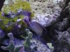 DSC00893.jpg