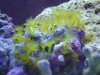 DSC00877.jpg