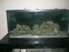 tank 6 22 003.jpg