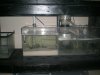 tank 6 22 004.jpg