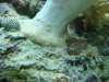 2009-06-18_0758.jpg