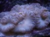 DSC01042.JPG
