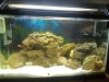 downsized_0624091431.jpg