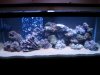DSC01217_a.jpg