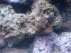 DSC01223_a.jpg