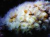 2009_070108729timelapse0013.JPG