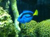 IMG00032-20090513-1036.jpg