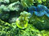 IMG00148-20090701-1840.jpg
