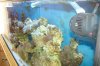 DSC01663.jpg