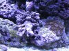 IMG_0003.jpg
