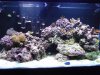 150w.jpg