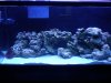DSCN0372.jpg